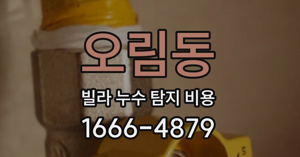 오림동 빌라 누수 탐지 비용
