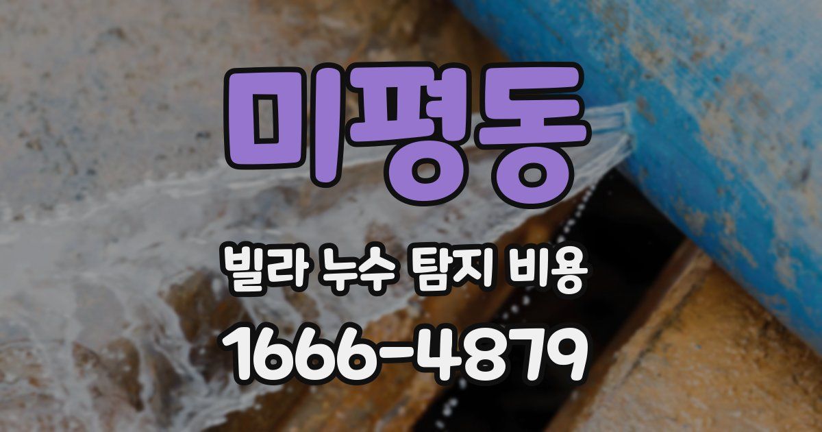 미평동 빌라 누수 탐지 비용