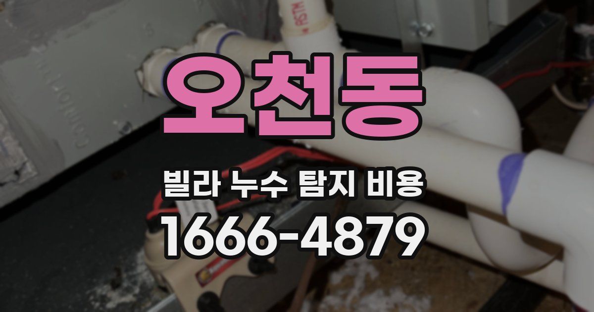 오천동 빌라 누수 탐지 비용
