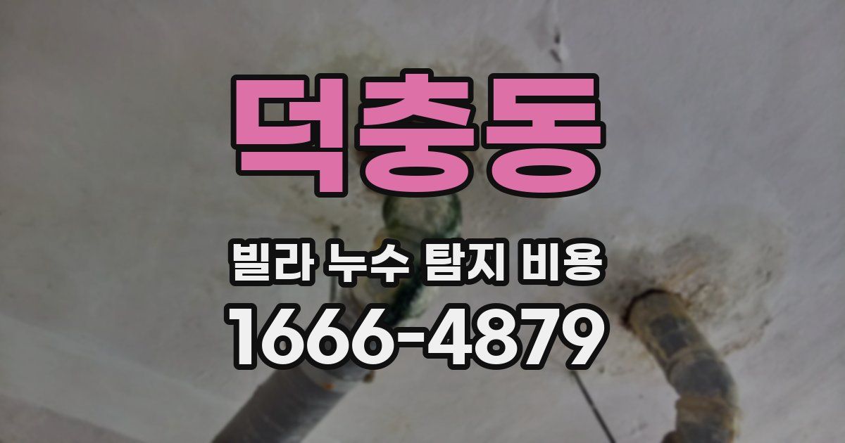 덕충동 빌라 누수 탐지 비용