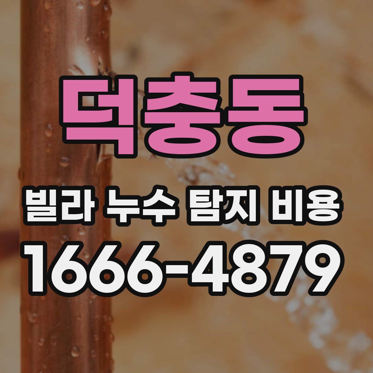 덕충동 빌라 누수 탐지 비용