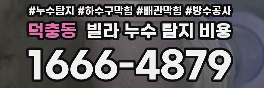 덕충동 빌라 누수 탐지 비용
