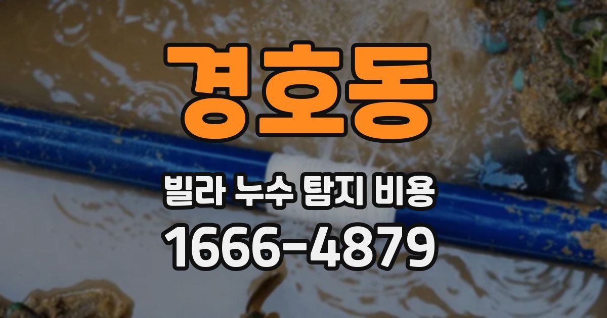 경호동 빌라 누수 탐지 비용