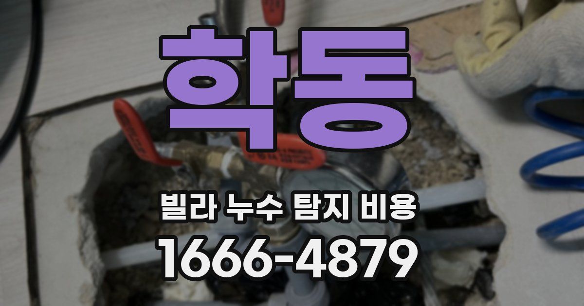 학동 빌라 누수 탐지 비용