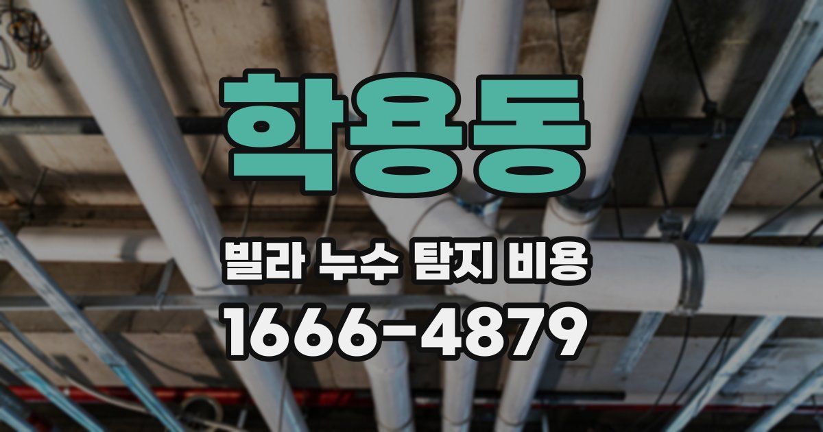 학용동 빌라 누수 탐지 비용