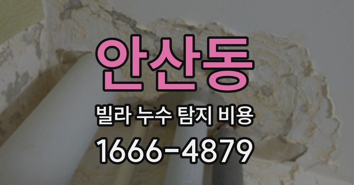 안산동 빌라 누수 탐지 비용