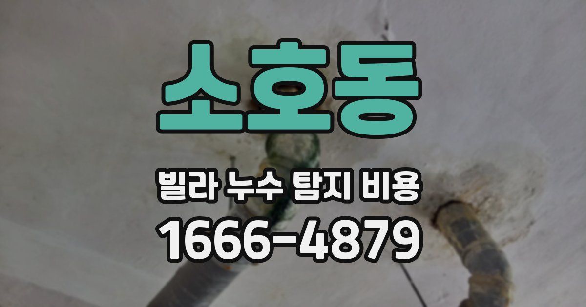 소호동 빌라 누수 탐지 비용