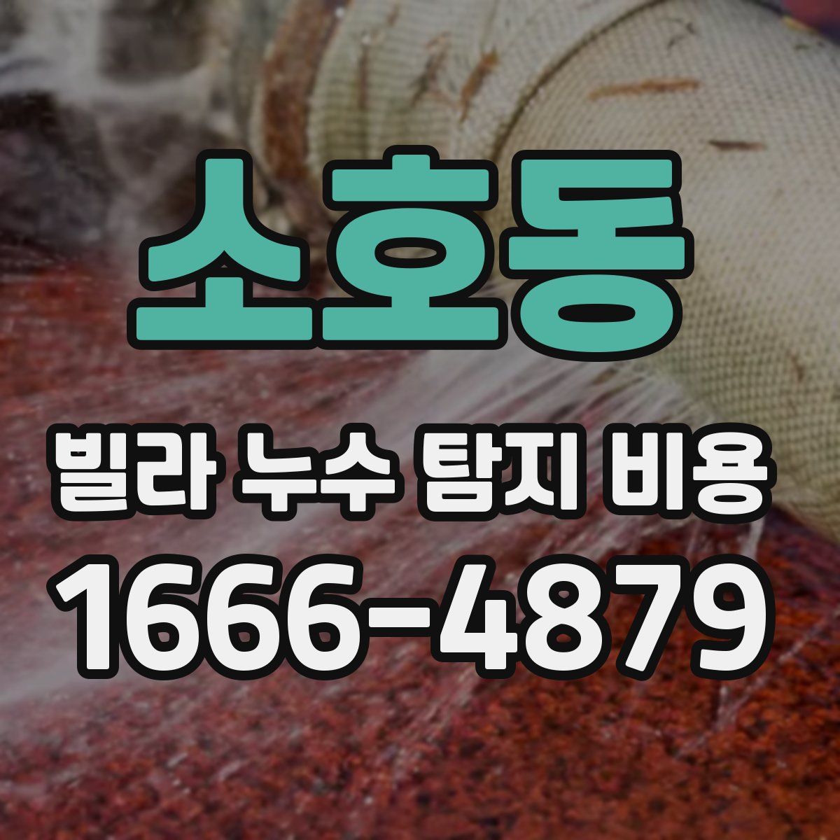 소호동 빌라 누수 탐지 비용