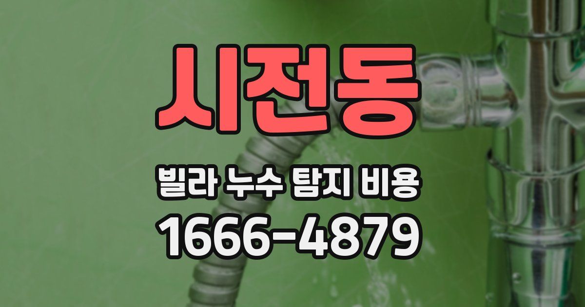 시전동 빌라 누수 탐지 비용