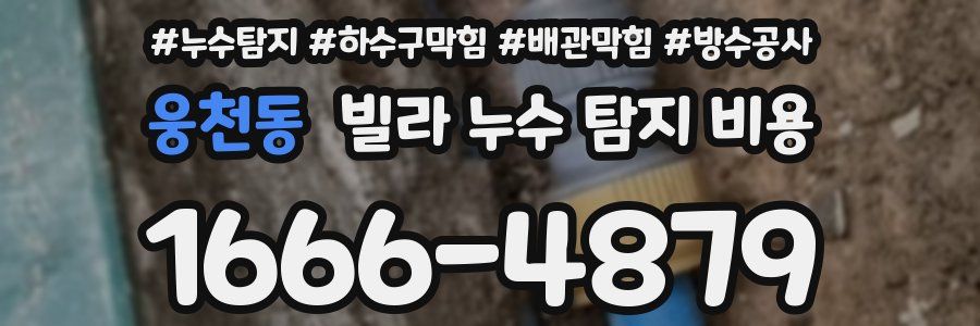 웅천동 빌라 누수 탐지 비용