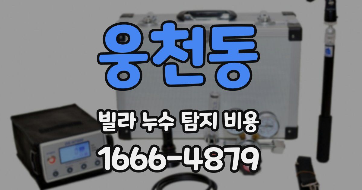 웅천동 빌라 누수 탐지 비용