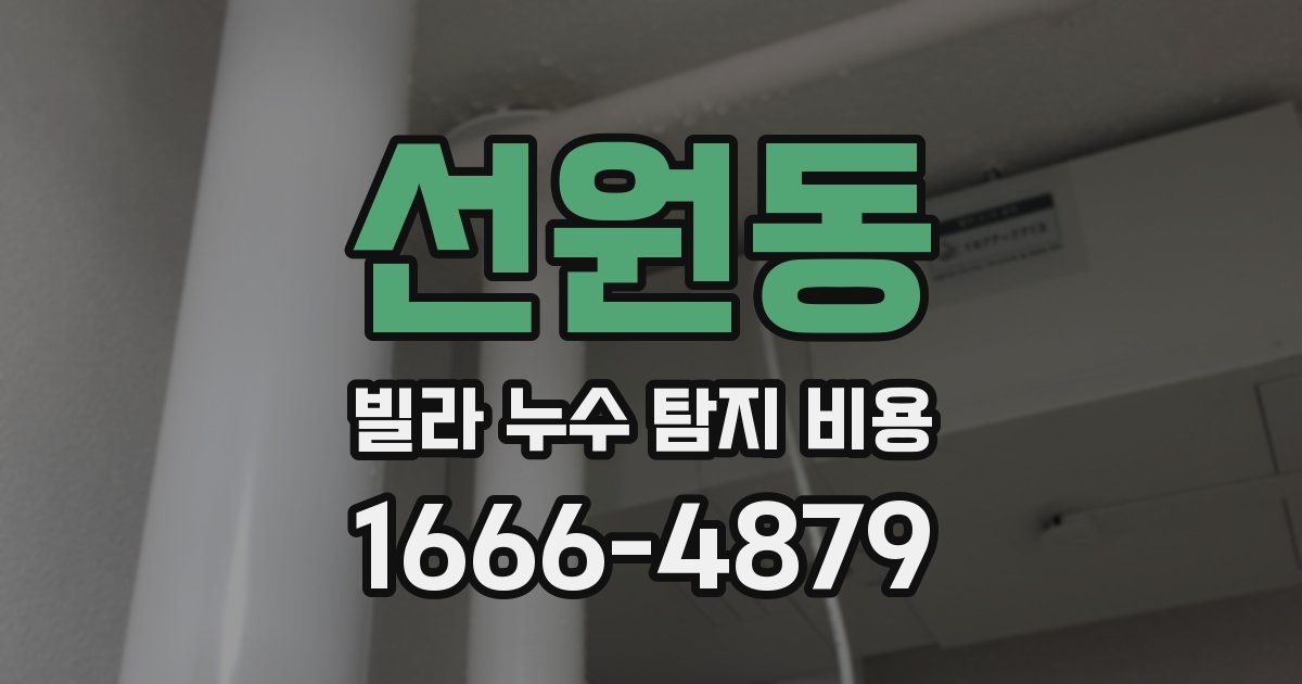 선원동 빌라 누수 탐지 비용