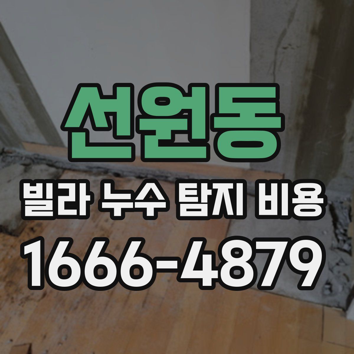 선원동 빌라 누수 탐지 비용
