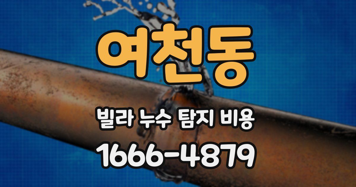 여천동 빌라 누수 탐지 비용