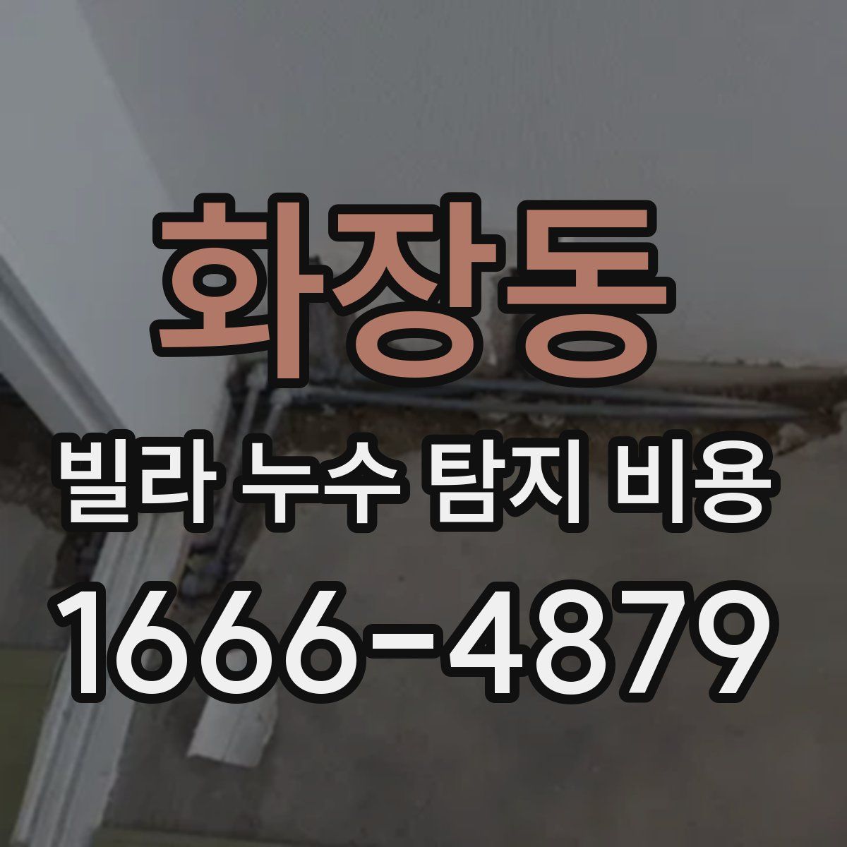 화장동 빌라 누수 탐지 비용