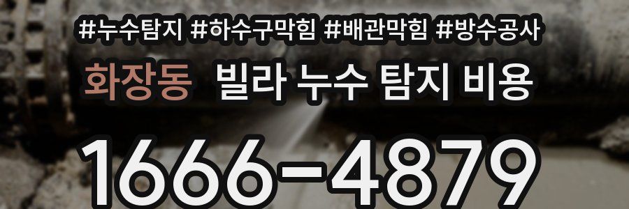 화장동 빌라 누수 탐지 비용