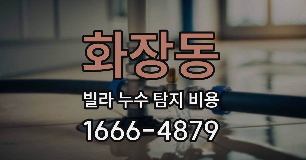 화장동 빌라 누수 탐지 비용