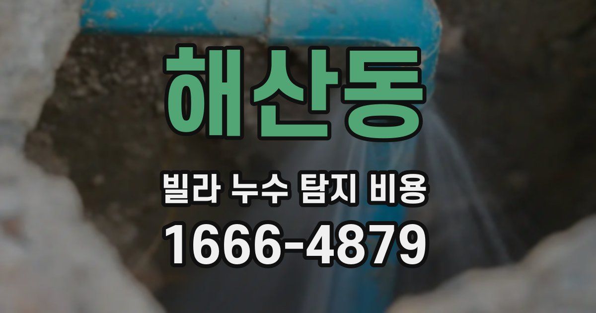해산동 빌라 누수 탐지 비용