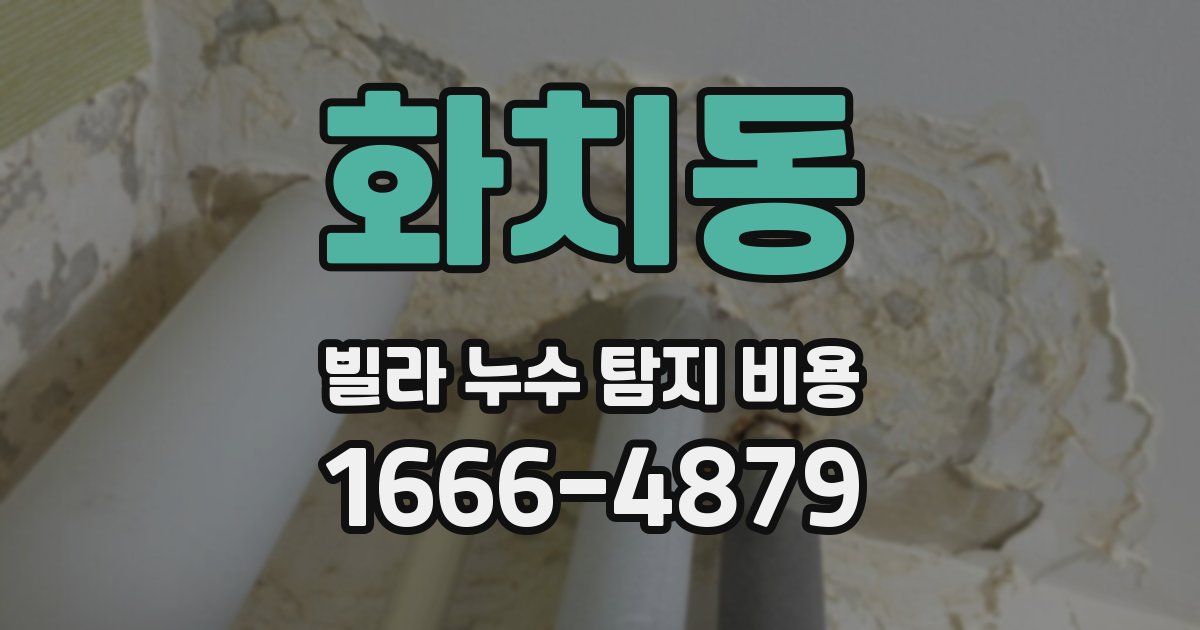 화치동 빌라 누수 탐지 비용