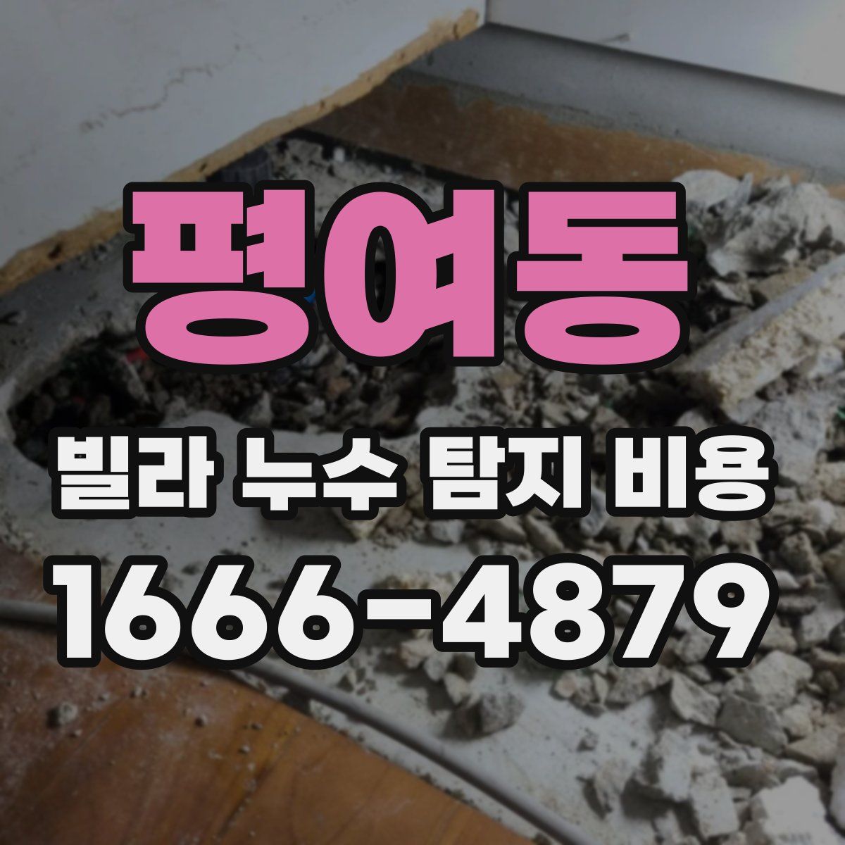 평여동 빌라 누수 탐지 비용