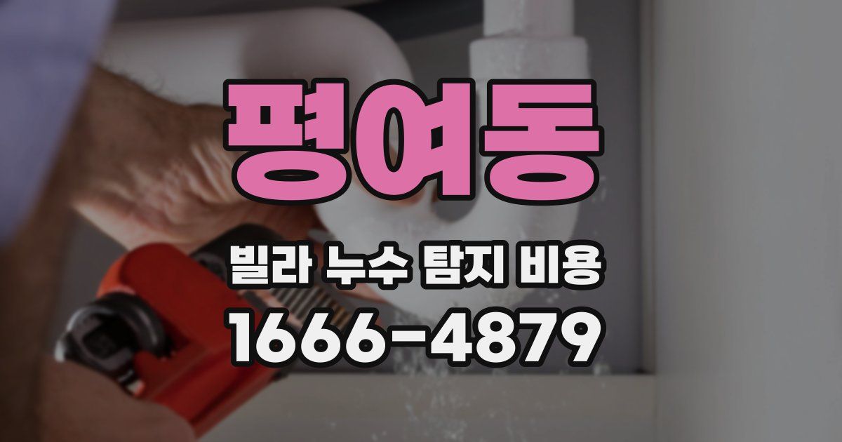 평여동 빌라 누수 탐지 비용