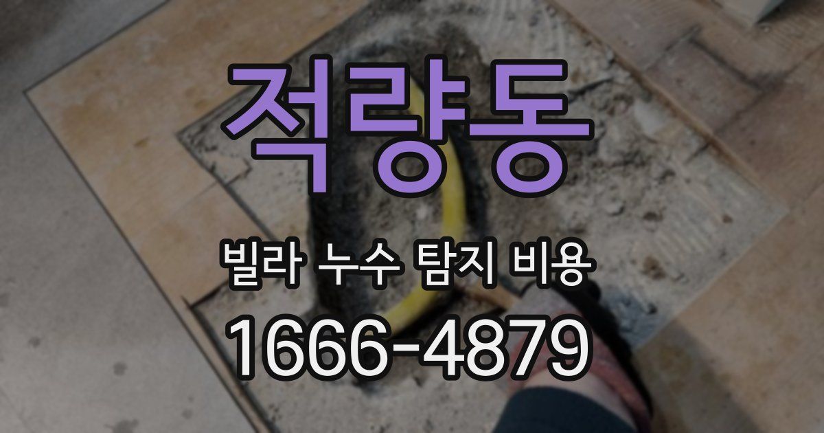 적량동 빌라 누수 탐지 비용