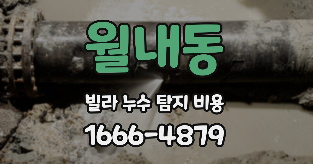 월내동 빌라 누수 탐지 비용