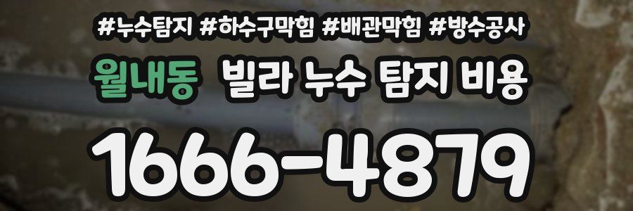 월내동 빌라 누수 탐지 비용