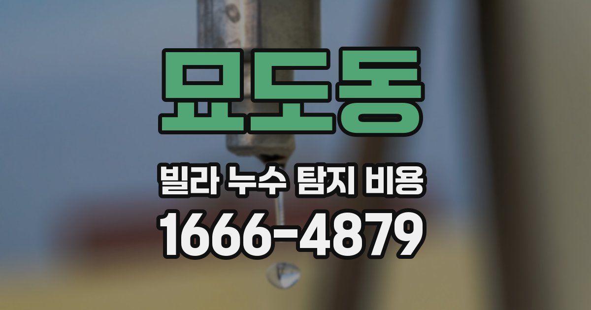 묘도동 빌라 누수 탐지 비용