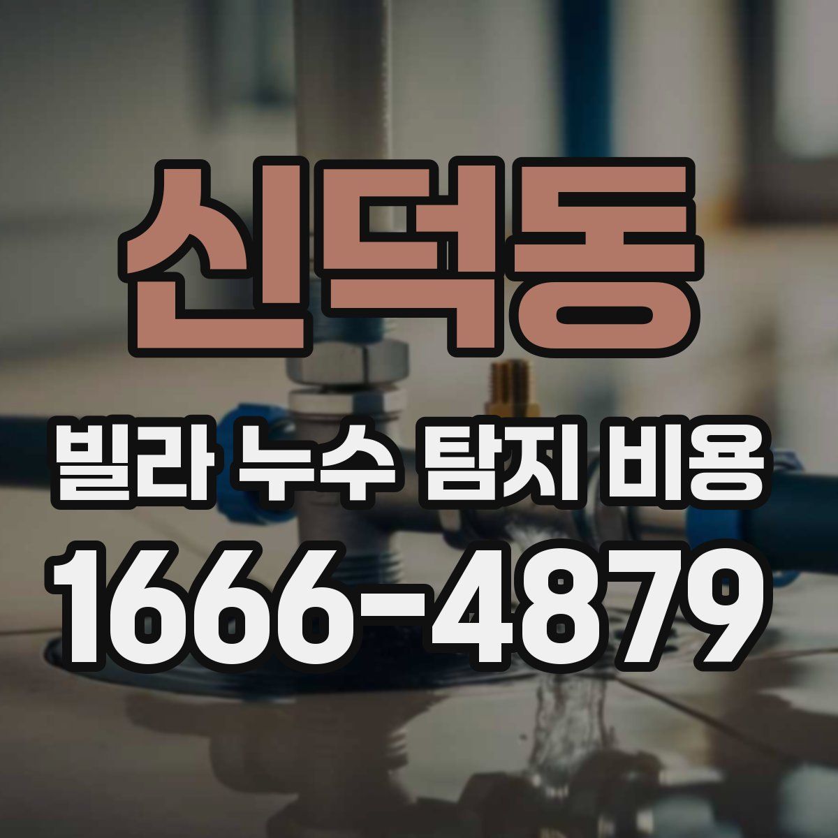 신덕동 빌라 누수 탐지 비용