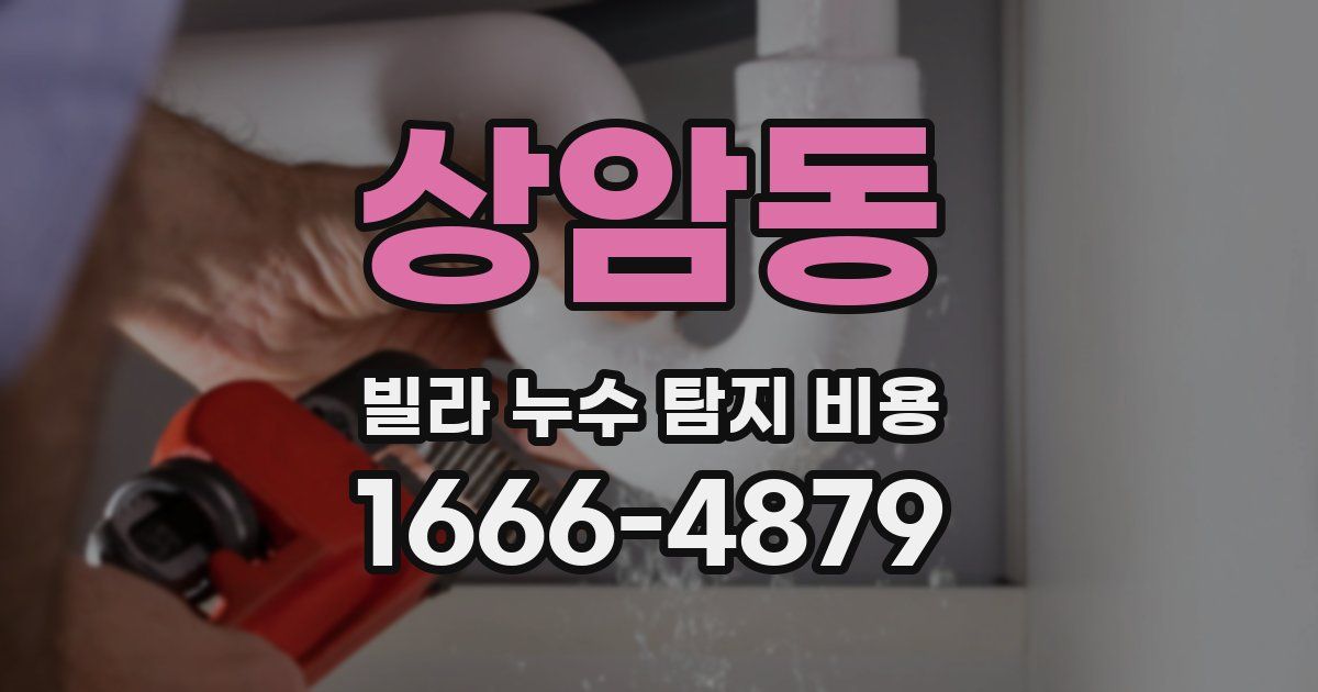 상암동 빌라 누수 탐지 비용