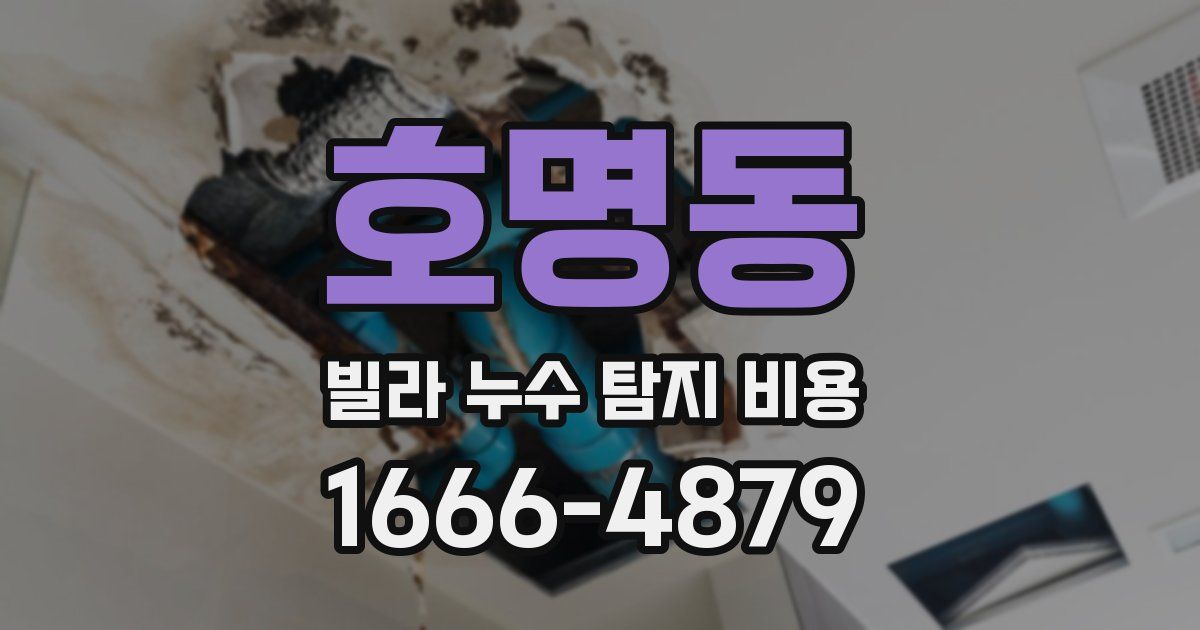 호명동 빌라 누수 탐지 비용
