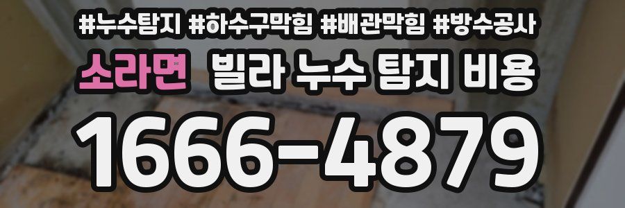 소라면 빌라 누수 탐지 비용