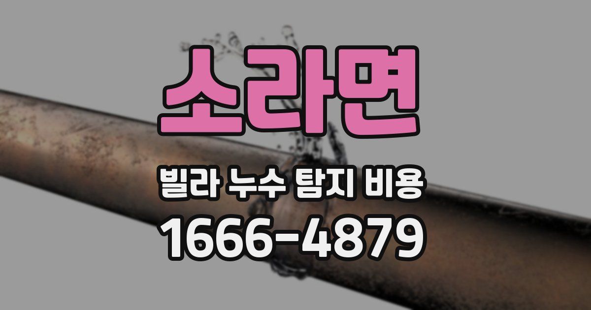 소라면 빌라 누수 탐지 비용
