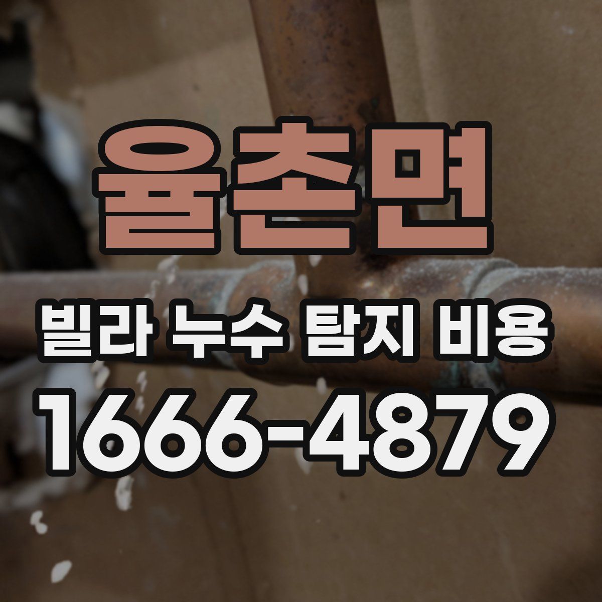 율촌면 빌라 누수 탐지 비용