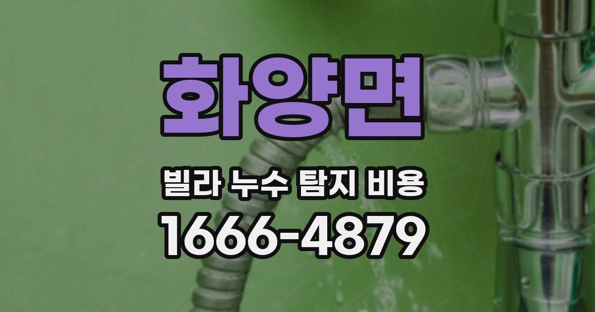 화양면 빌라 누수 탐지 비용