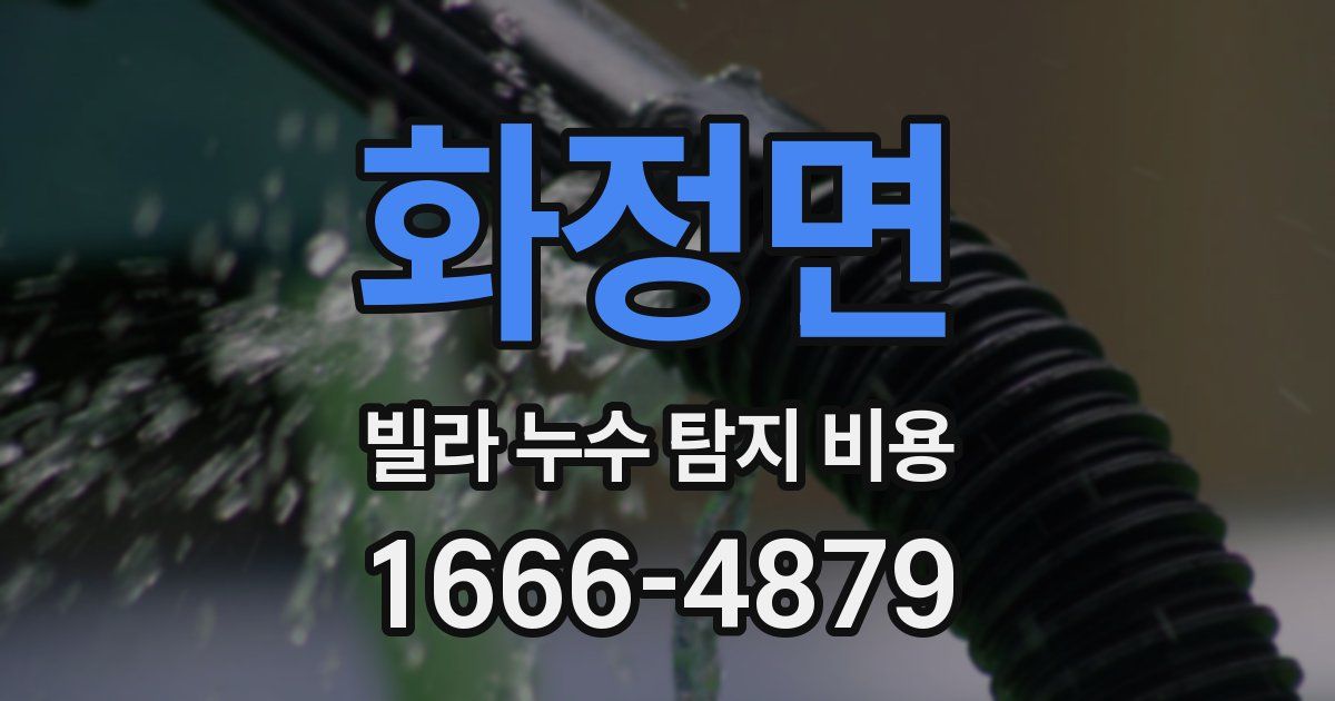 화정면 빌라 누수 탐지 비용