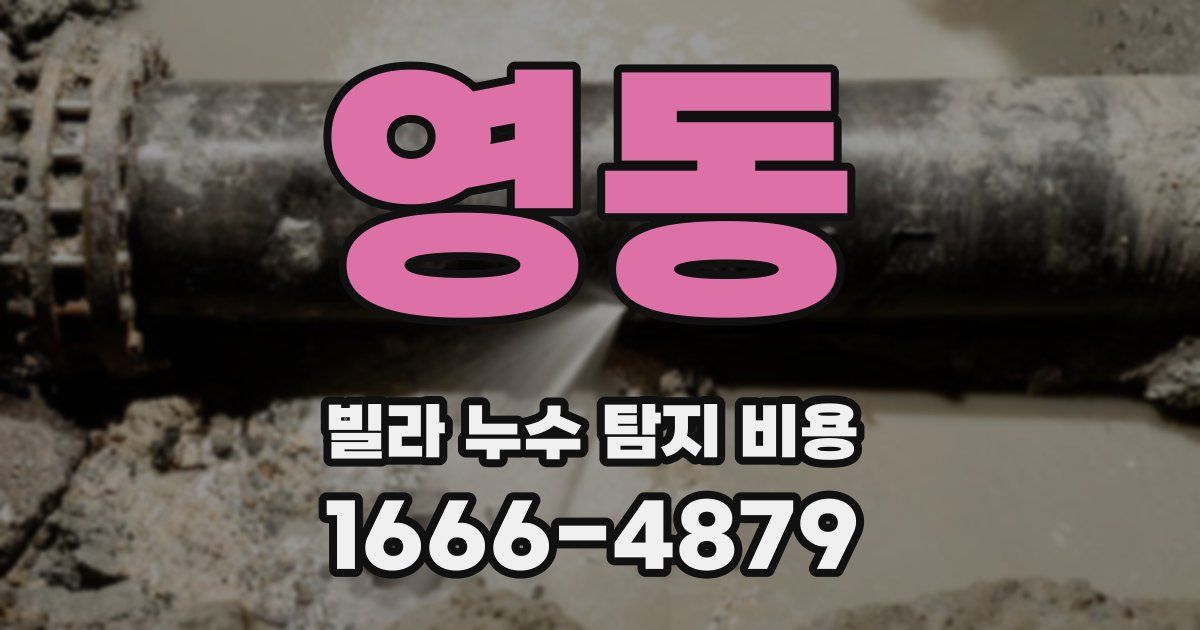 영동 빌라 누수 탐지 비용