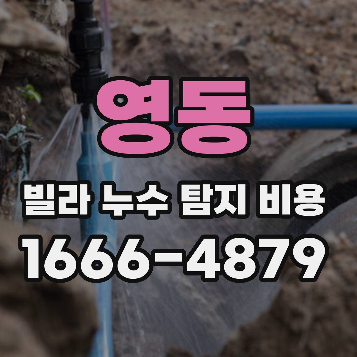 영동 빌라 누수 탐지 비용
