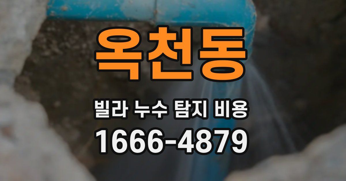옥천동 빌라 누수 탐지 비용