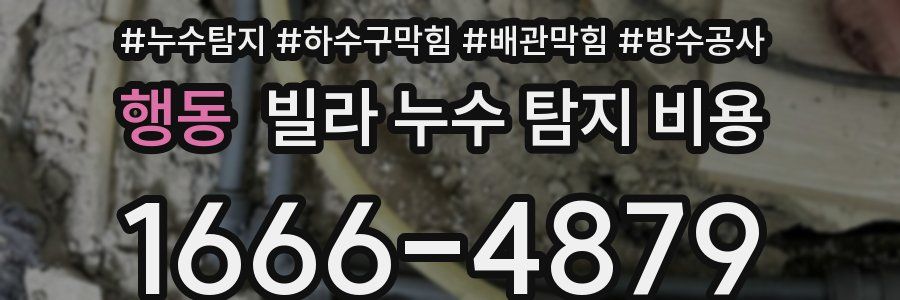 행동 빌라 누수 탐지 비용