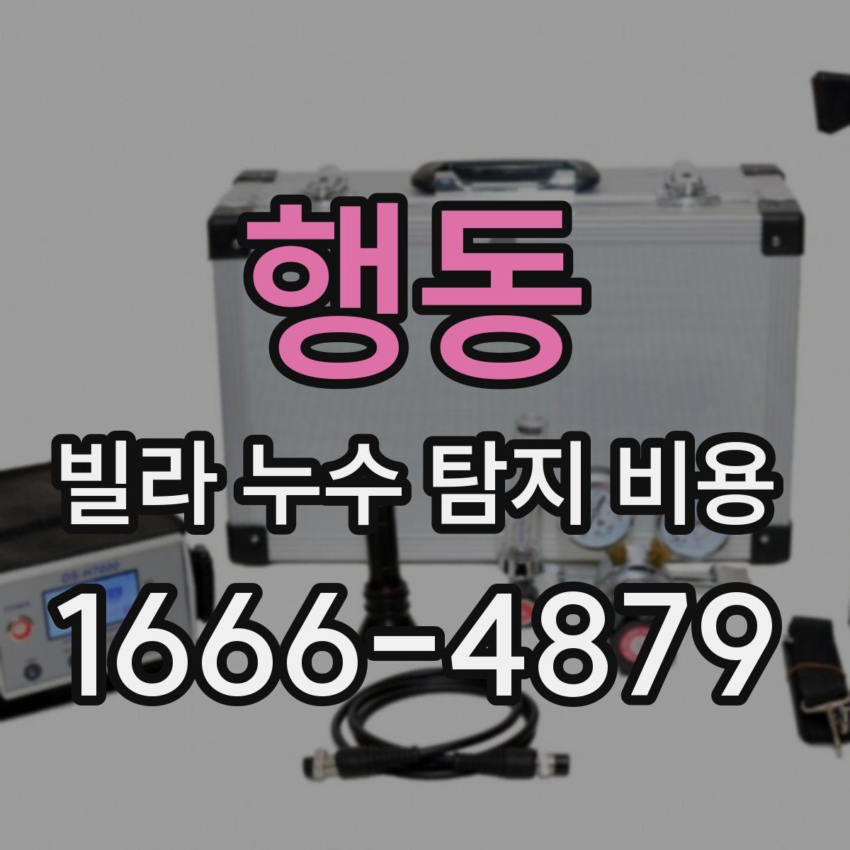 행동 빌라 누수 탐지 비용