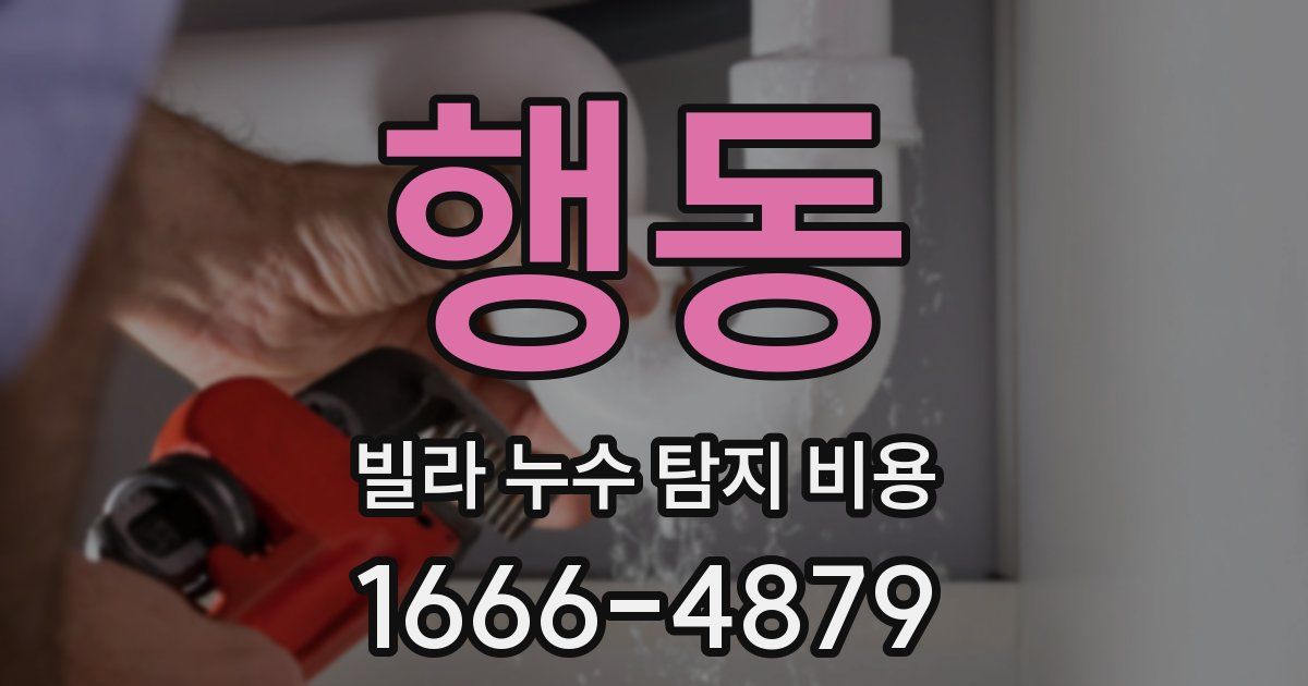 행동 빌라 누수 탐지 비용