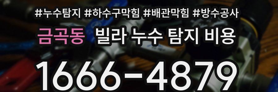 금곡동 빌라 누수 탐지 비용
