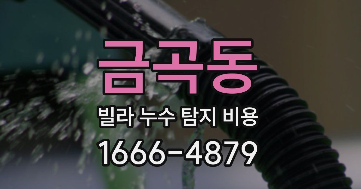 금곡동 빌라 누수 탐지 비용