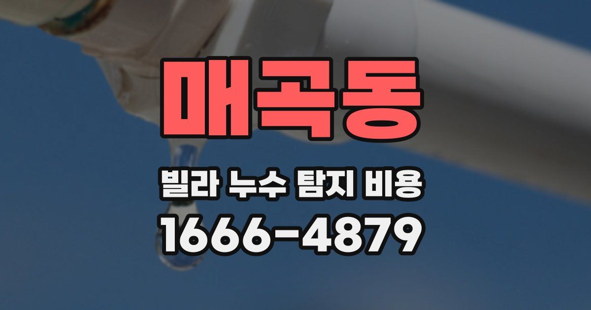 매곡동 빌라 누수 탐지 비용