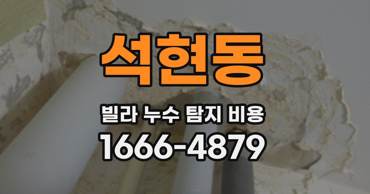 석현동 빌라 누수 탐지 비용