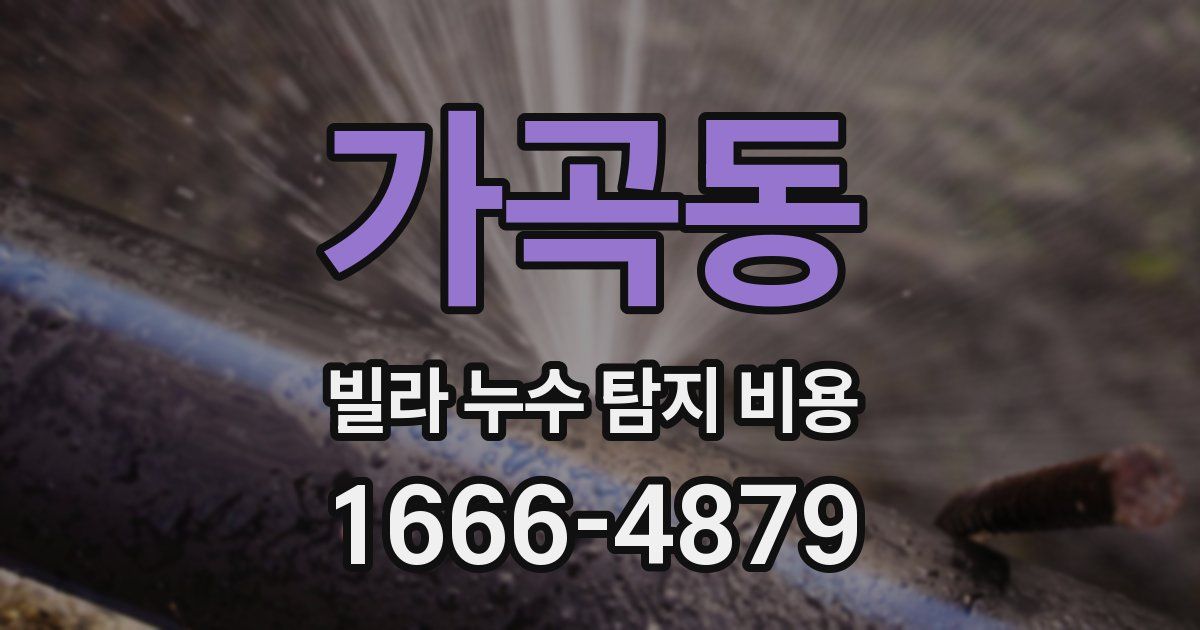 가곡동 빌라 누수 탐지 비용