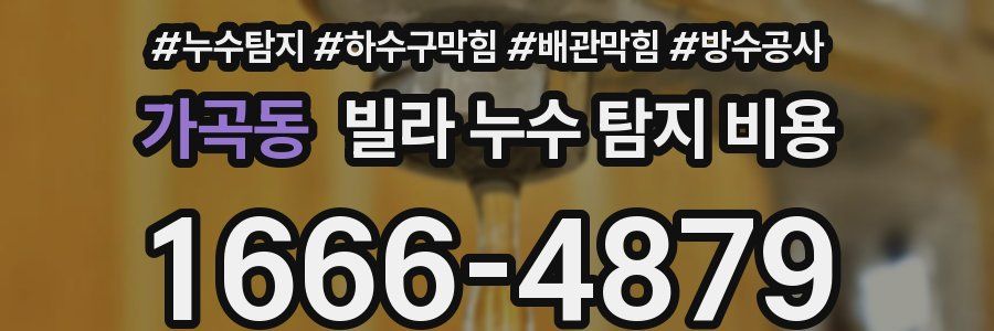 가곡동 빌라 누수 탐지 비용