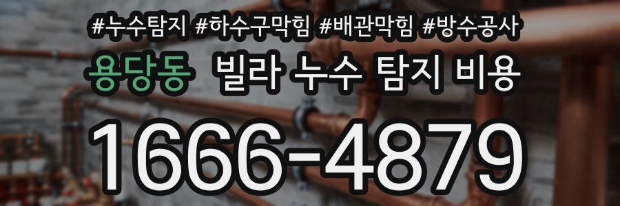 용당동 빌라 누수 탐지 비용